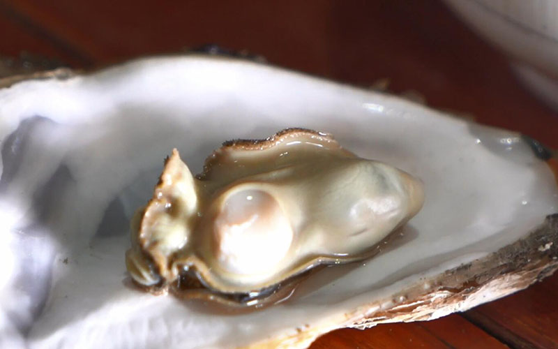 Natuurlijke oesters